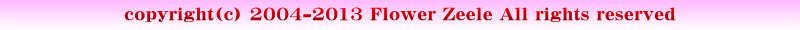 �ԑ��ƃA�����W�����g�̃M�t�g�@�t�����[�[�[��